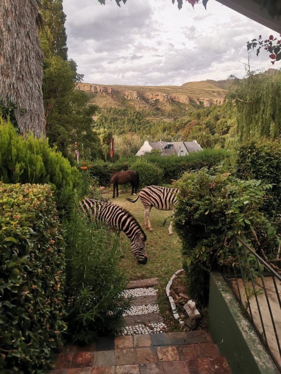 9 Bedroom Property for Sale in Lady Grey Eastern Cape